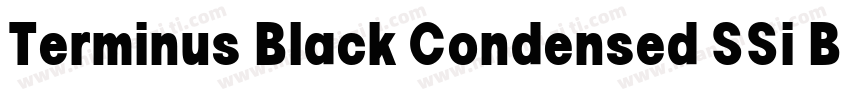 Terminus Black Condensed SSi Black字体转换